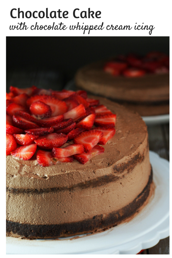 Moist and light chocolate cake, close up shot.