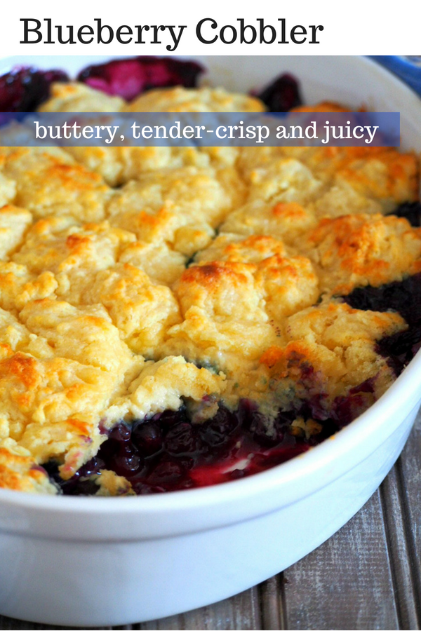So many ways to enjoy blueberries and this Blueberry Cobbler should definitely be one of them. Juicy, succulent berries topped with buttery and crisp pastry, this summer dessert is truly a delight. #summerbaking #berries #blueberries #cobblers |Woman Scribbles