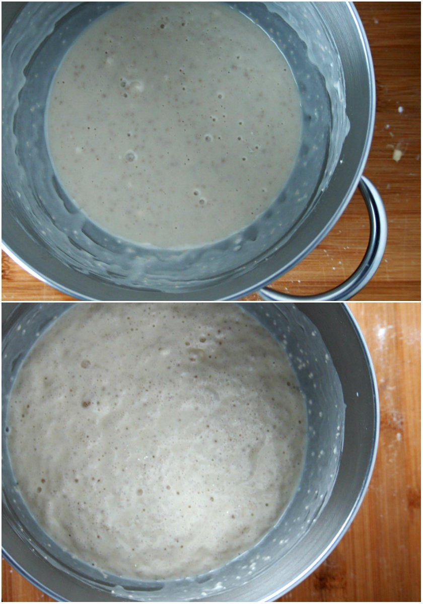 Proofing the yeast for Chocolate Bread Wreath.
