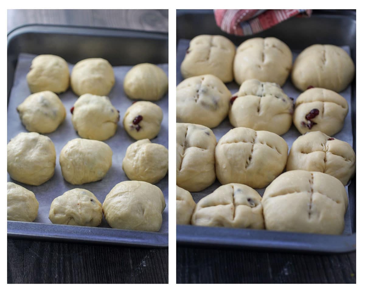 The shaped buns before and after the second rise.