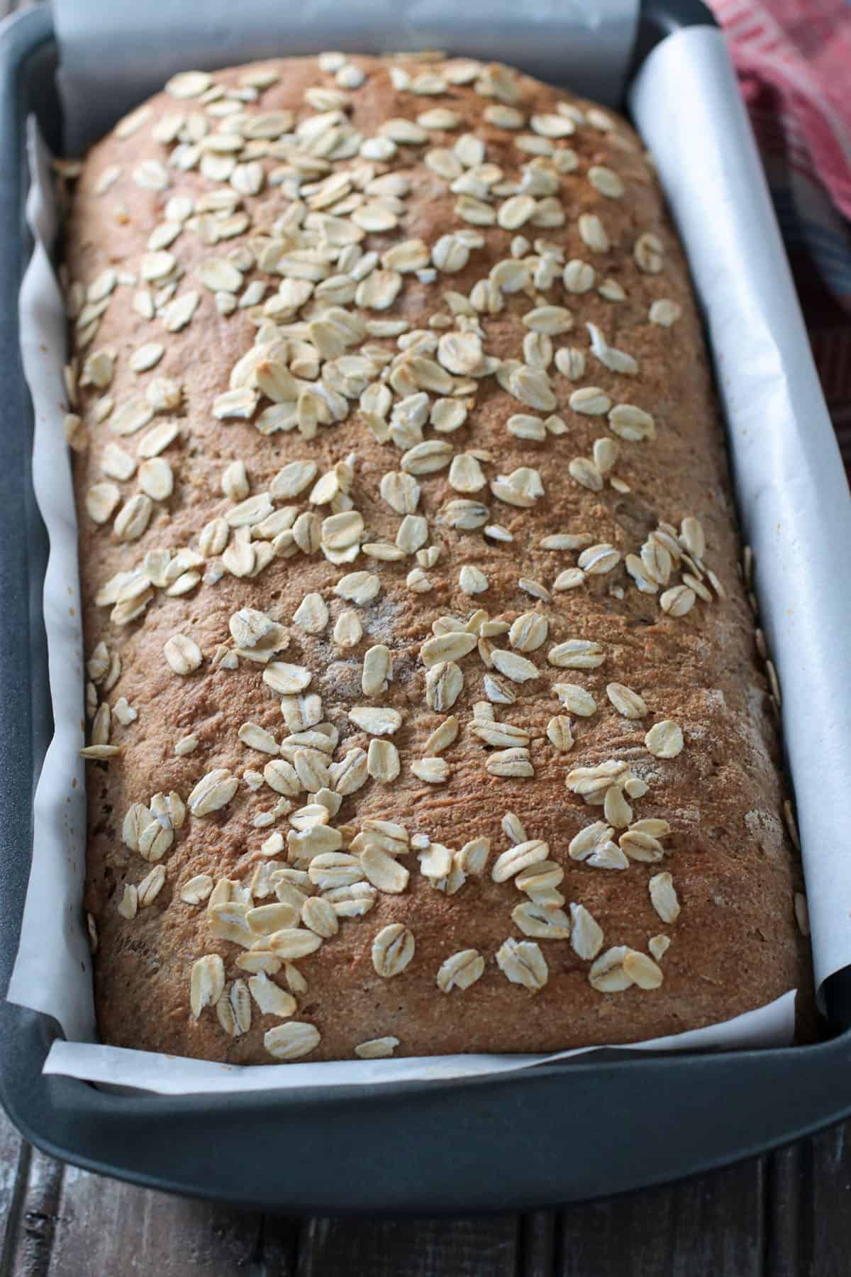 Close up shot of a a Basic spelt Oatmeal bread on a loaf pan.