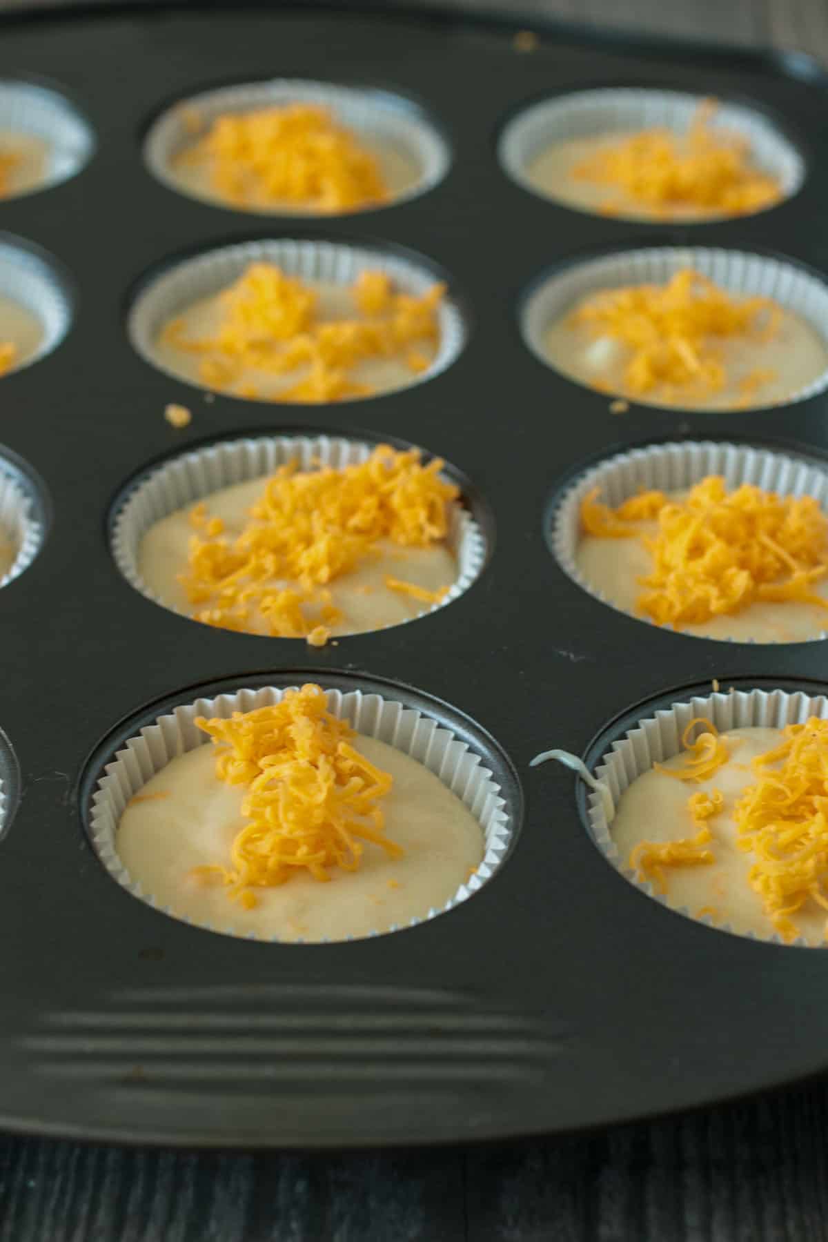 The cheese cupcakes batter on a muffin pan, topped with cheddar cheese.