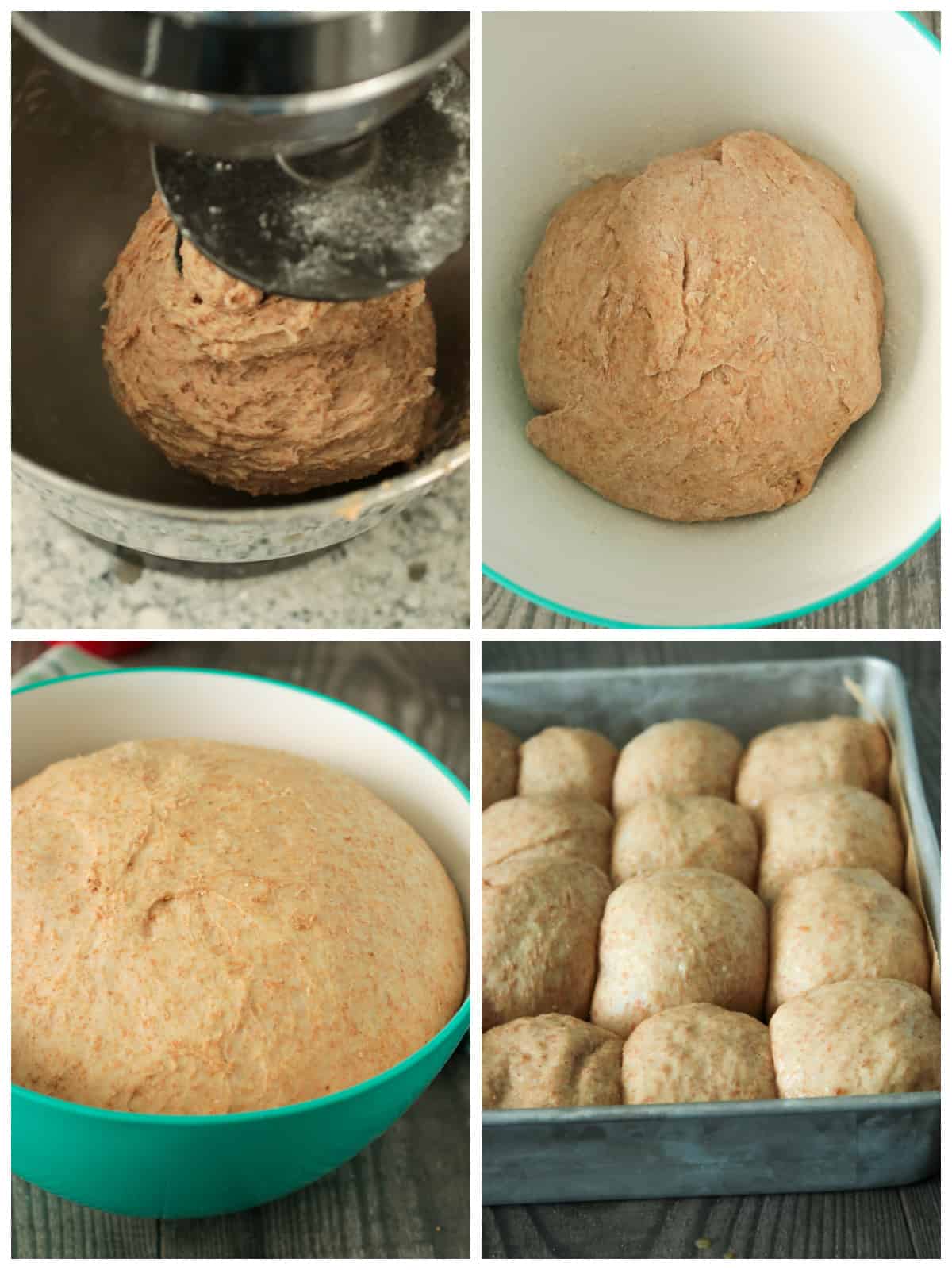 Photo collage of kneading the dough in the stand mixer, the the rising and shaping them into buns.