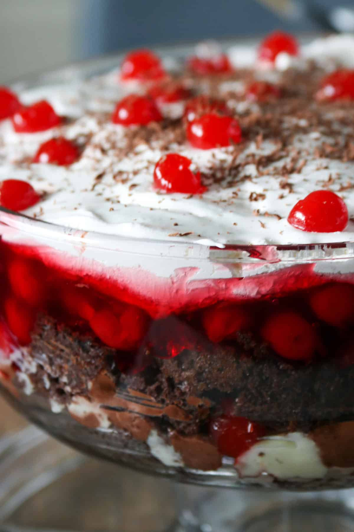 Close up shot of black forest trifle cake.