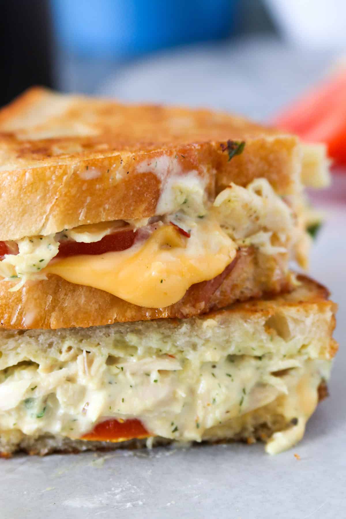 Close up of a Tuna Grilled Cheese Sandwich.