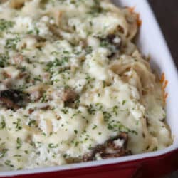 This Creamy Baked Spaghetti with White Sauce is a rich comforting dish flavored with Italian sausage, and mushrooms and lots of cheese!