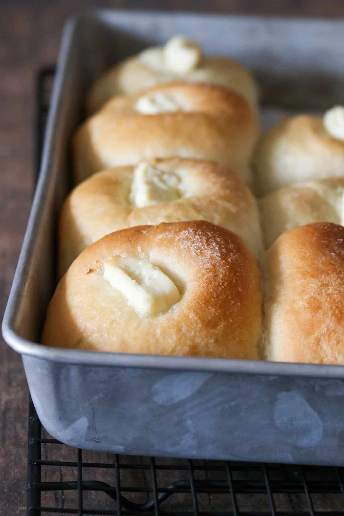 Cream Cheese bread rolls on a baking pan.